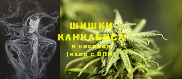 прущая мука Богородск