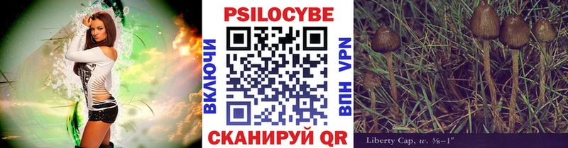 цены наркотик  Дегтярск  Псилоцибиновые грибы Cubensis 